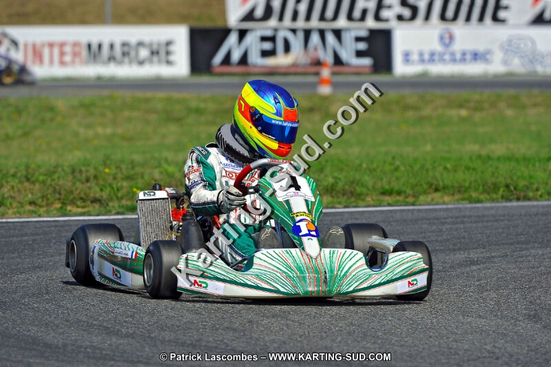 DSC_ (136).jpg